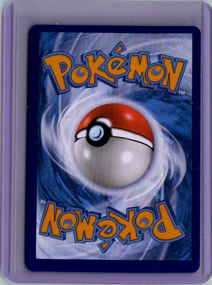 Lucario VSTAR - Holo Promo SWSH: Sword & Shield Promo Cards SWSD SWSH291 NM (Back)