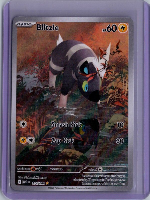 Blitzle - Holo Illustration Rare SV: White Flare WHT 114/086 NM10